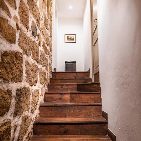 Les Anciennes Ecuries, Belle Pour 12 Personnes Au Coeur D'un Vignoble Avec Piscine Sartène