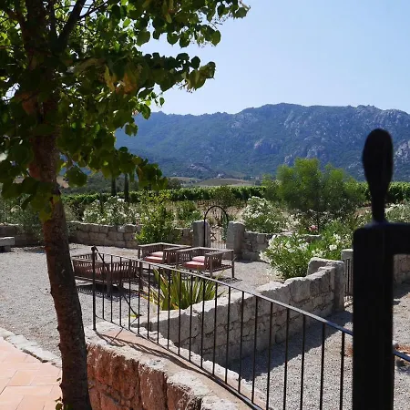 Les Anciennes Ecuries, Belle Pour 12 Personnes Au Coeur D'un Vignoble Avec Piscine * Sartène