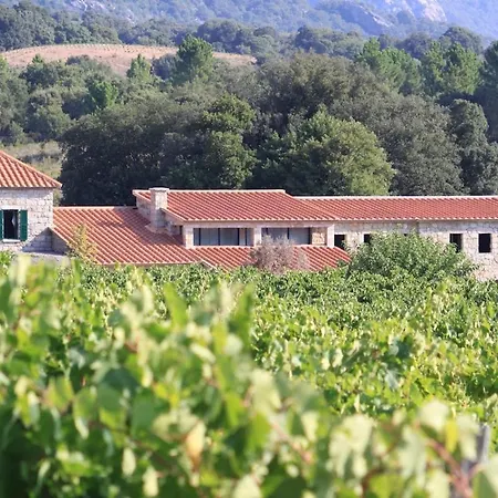 Villa Les Anciennes Ecuries, Belle Pour 12 Personnes Au Coeur D'un Vignoble Avec Piscine Sartène