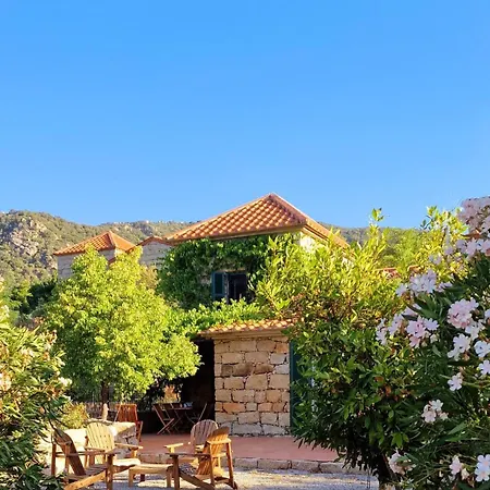 Les Anciennes Ecuries, Belle Pour 12 Personnes Au Coeur D'un Vignoble Avec Piscine *