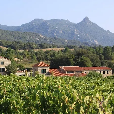 וילה Les Anciennes Ecuries, Belle Pour 12 Personnes Au Coeur D'un Vignoble Avec Piscine