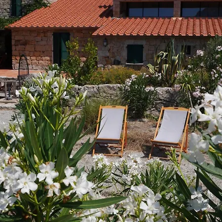 Les Anciennes Ecuries, Belle Pour 12 Personnes Au Coeur D'un Vignoble Avec Piscine Sartene (Corsica)
