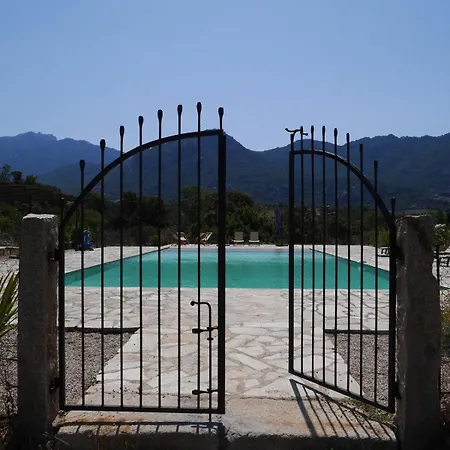 Les Anciennes Ecuries, Belle Pour 12 Personnes Au Coeur D'un Vignoble Avec Piscine Sartène