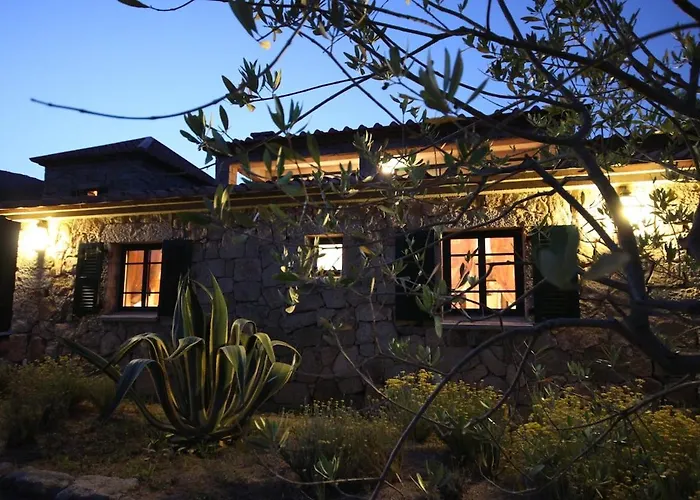 Les Anciennes écuries, Belle Pour 12 Personnes Au Coeur D'un Vignoble Avec Piscine * Sartène