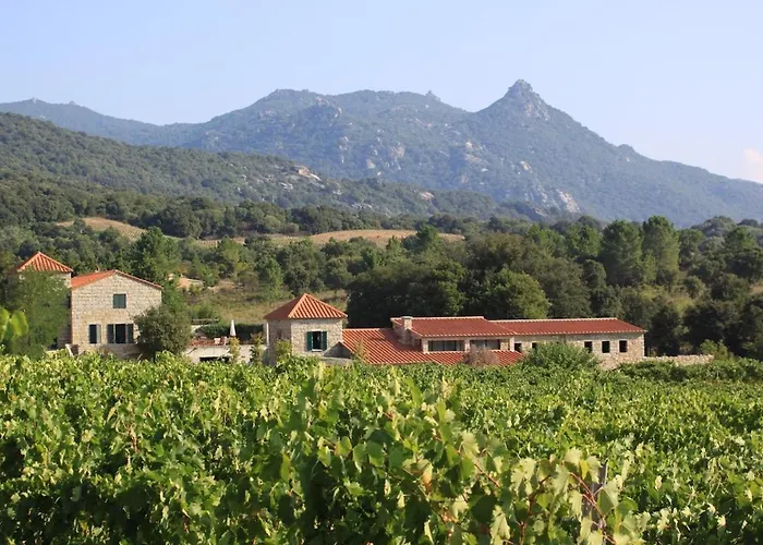 Villa Les Anciennes écuries, Belle Pour 12 Personnes Au Coeur D'un Vignoble Avec Piscine