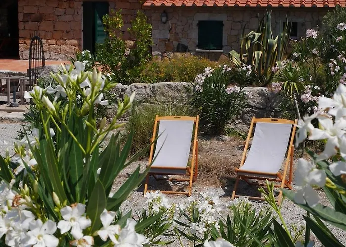 Les Anciennes écuries, Belle Pour 12 Personnes Au Coeur D'un Vignoble Avec Piscine Sartène