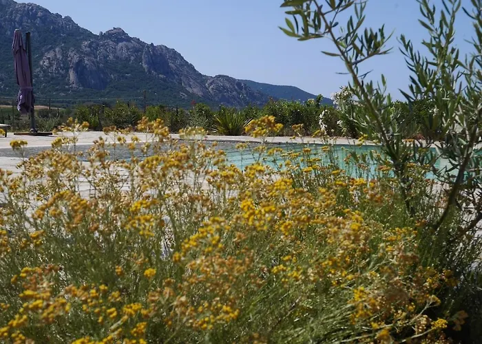 Villa Les Anciennes écuries, Belle Pour 12 Personnes Au Coeur D'un Vignoble Avec Piscine *
