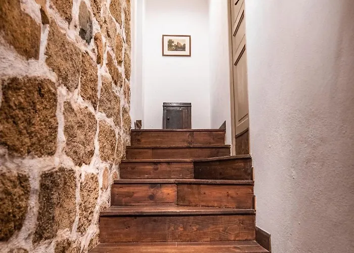 Les Anciennes écuries, Belle Pour 12 Personnes Au Coeur D'un Vignoble Avec Piscine Sartène