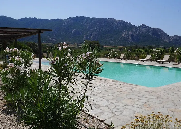 Villa Les Anciennes écuries, Belle Pour 12 Personnes Au Coeur D'un Vignoble Avec Piscine