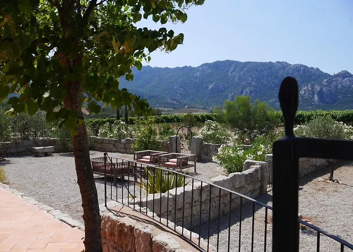 Les Anciennes écuries, Belle Pour 12 Personnes Au Coeur D'un Vignoble Avec Piscine * Sartène