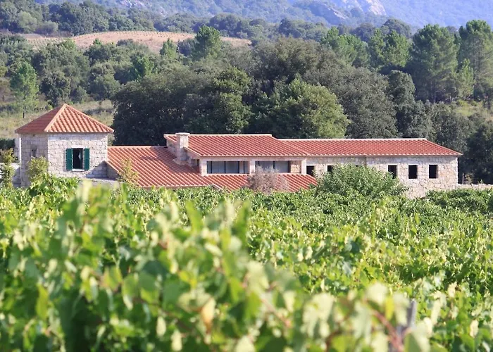 Villa Les Anciennes écuries, Belle Pour 12 Personnes Au Coeur D'un Vignoble Avec Piscine Sartène