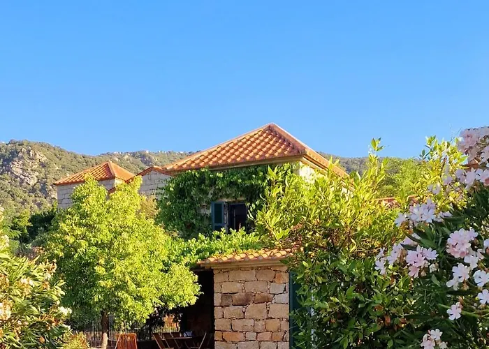 Les Anciennes écuries, Belle Pour 12 Personnes Au Coeur D'un Vignoble Avec Piscine *
